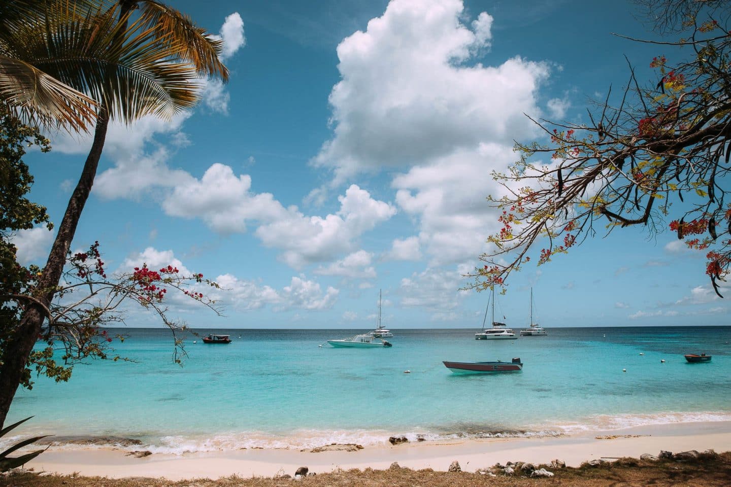 Croisière de 13 jours en catamaran dans les Iles Grenadines